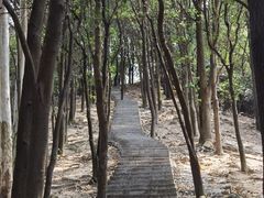 -火炉山森林公园