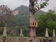 -趣多多宠物公园·宠物训犬学校·宠物寄养