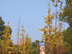 -杭州电子科技大学(下沙校区)
