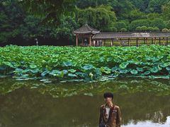 -龙头寺公园