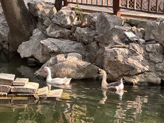 -龙华寺