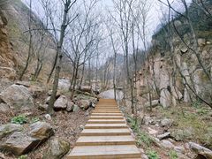 -大岭沟猕猴桃谷风景区