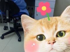 -上海市黄浦区牙病防治所(江西中路门诊部)