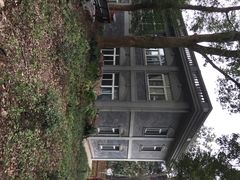 iphone_upload_pic-东湖落雁景区