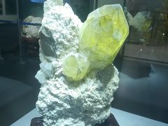 -湖南省地质博物馆