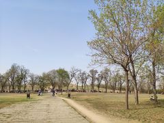 -汉长安城未央宫国家考古遗址公园