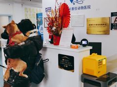 -北京赛佳动物医院