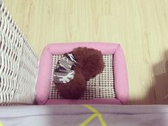 -乐乐宝宠物店