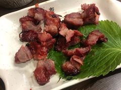 -金刚山烧烤(红旗大街店)