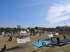 -苏州太湖西山岛开心农场