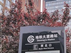 -大望路(地铁站)
