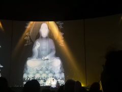 -印象普陀