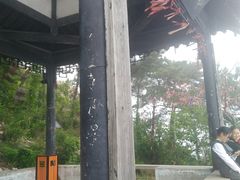 -石老人观光园