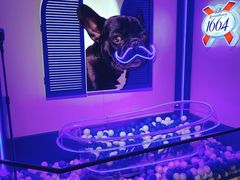 -乐潮汇时尚量贩式KTV(嘉业国际城购物中心店)