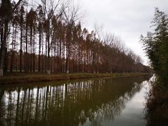 -黄海国家森林公园