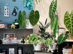 -Dogi&kiki Coffee(中心商务大厦店)