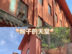 -黔灵山公园
