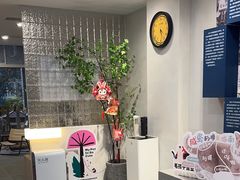 -伟伟宠物医院·CT影像中心·瑞派犬猫综合性门诊(汉口总院)