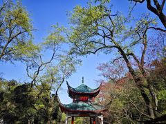 -岳麓山风景名胜区