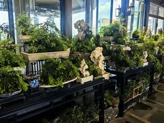 -川旺角川粤融合菜•海景餐厅(星海广场店)