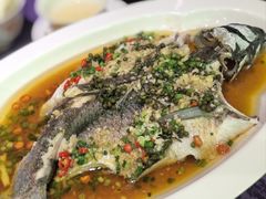 青花椒蒸脆皖鱼-惠食佳·朱雀(东方商厦店)