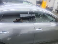 -天猫养车贴膜轻改·蓝电(优匹康桥东路店)