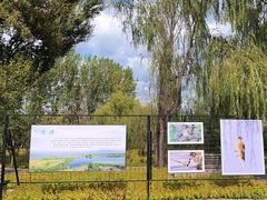 -野鸭湖国家湿地公园