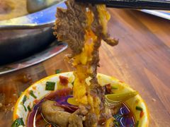 -金鼎雪山牦牛杂火锅(理县总店)