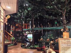 -森活木趣wooderfullife(益田假日广场店)