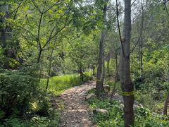 -仙居谷风景区