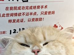 -御宝贝24h宠物医院·转诊中心·CT核磁血透中心(厦门总院)