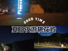 -桃花岭景区