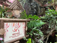 -正佳雨林生态植物园