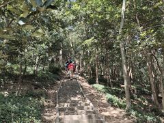 -上海佘山国家森林公园天马山园