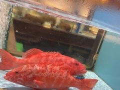 -阿伟海鲜楼·福建菜(延寿店)