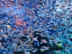 -成都浩海立方海洋公园