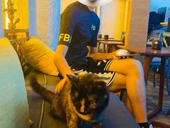 -Sirena海妖日咖夜酒