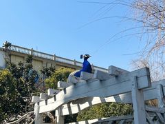 -J Create城市露营咖啡·简餐·宠物(上海动物园店)