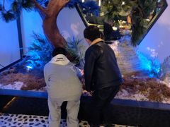 -绿茶餐厅(成都大悦城店)