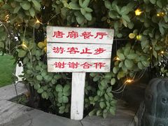 -唐廊烤鸭店(工体店)