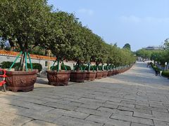 -广州莲花山旅游区