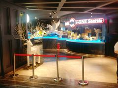 -V-ONE西雅图海鲜自助餐厅(仓山万达广场店)