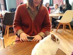 -藦茜花园宠物主题亲子互动体验馆(国顺东路店)