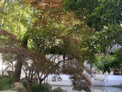 -秋霞圃
