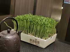 -湊湊火锅·茶憩(打浦桥日月光店)