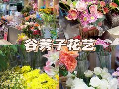 -谷莠子花艺·气球派对·绿植造景·花艺沙龙(金光华广场店)