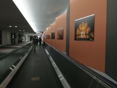 -中部国际机场