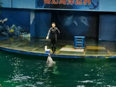 -苏州海洋馆