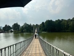 -东湖落雁景区