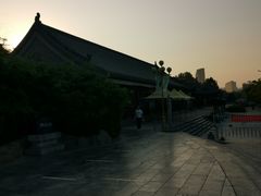 -大槐树寻根祭祖园